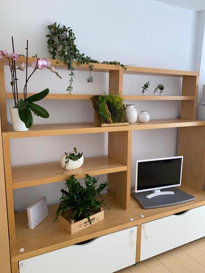 Apartamento Estudio Soleado Y Bien Ubicado *